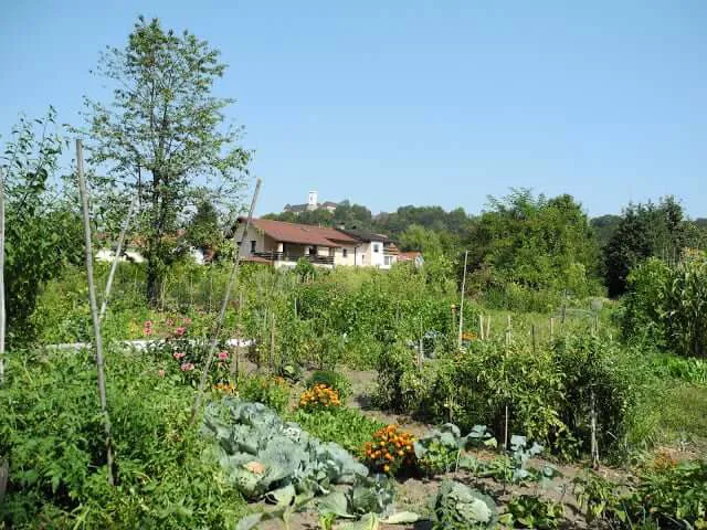 interrail-ljubljana-potagers