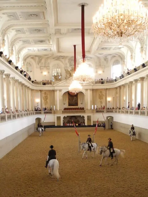 interrail-vienne-ecole-equitation-espagnole
