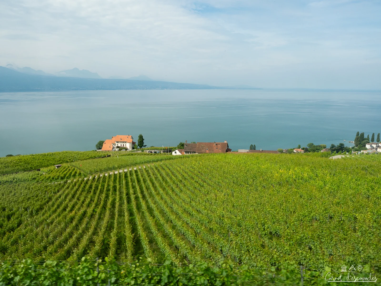 lavaux-suisse