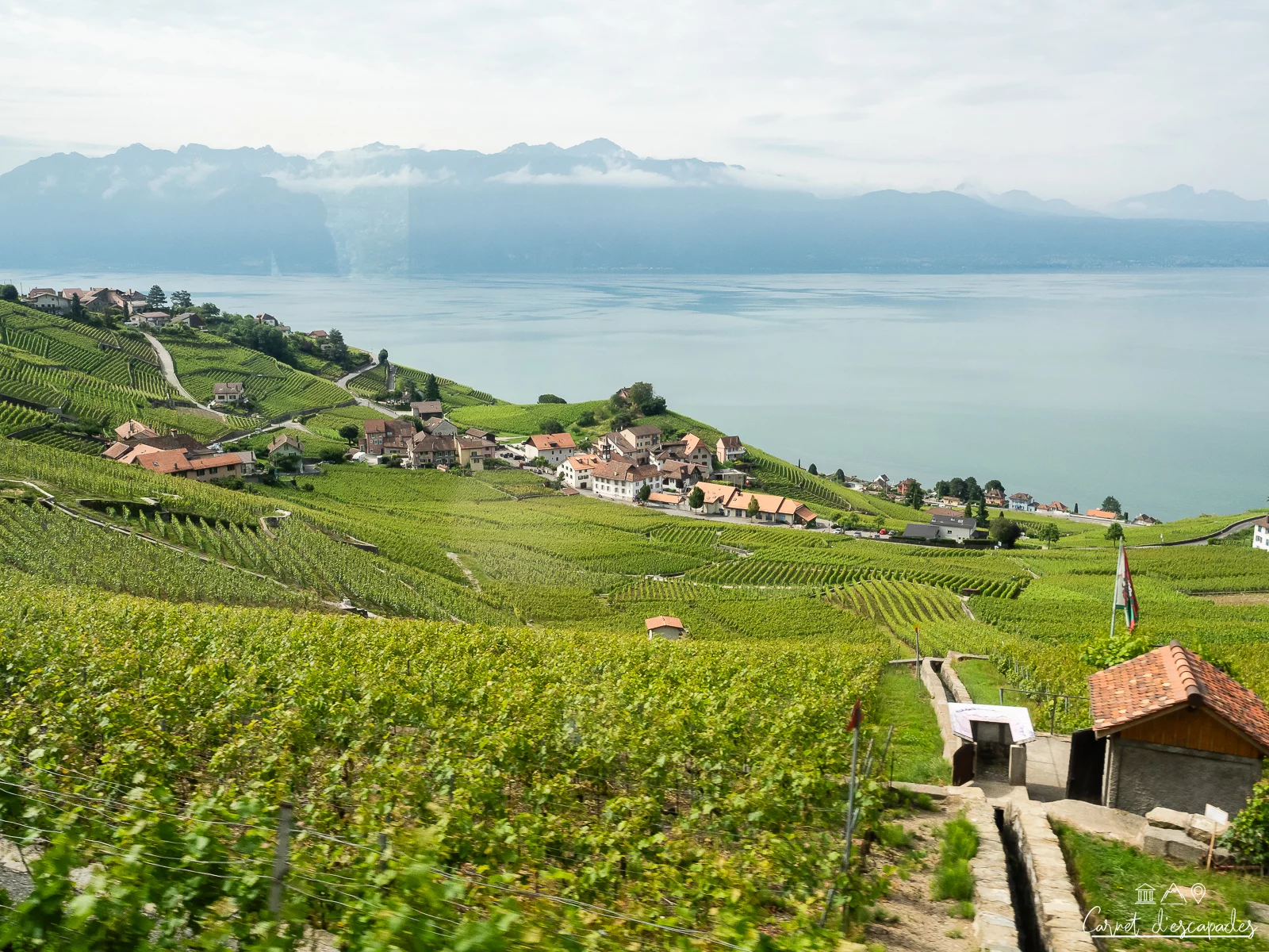 lavaux-vignoble-unesco-suisse