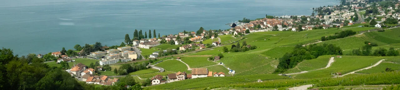 vignoble-lavaux-suisse