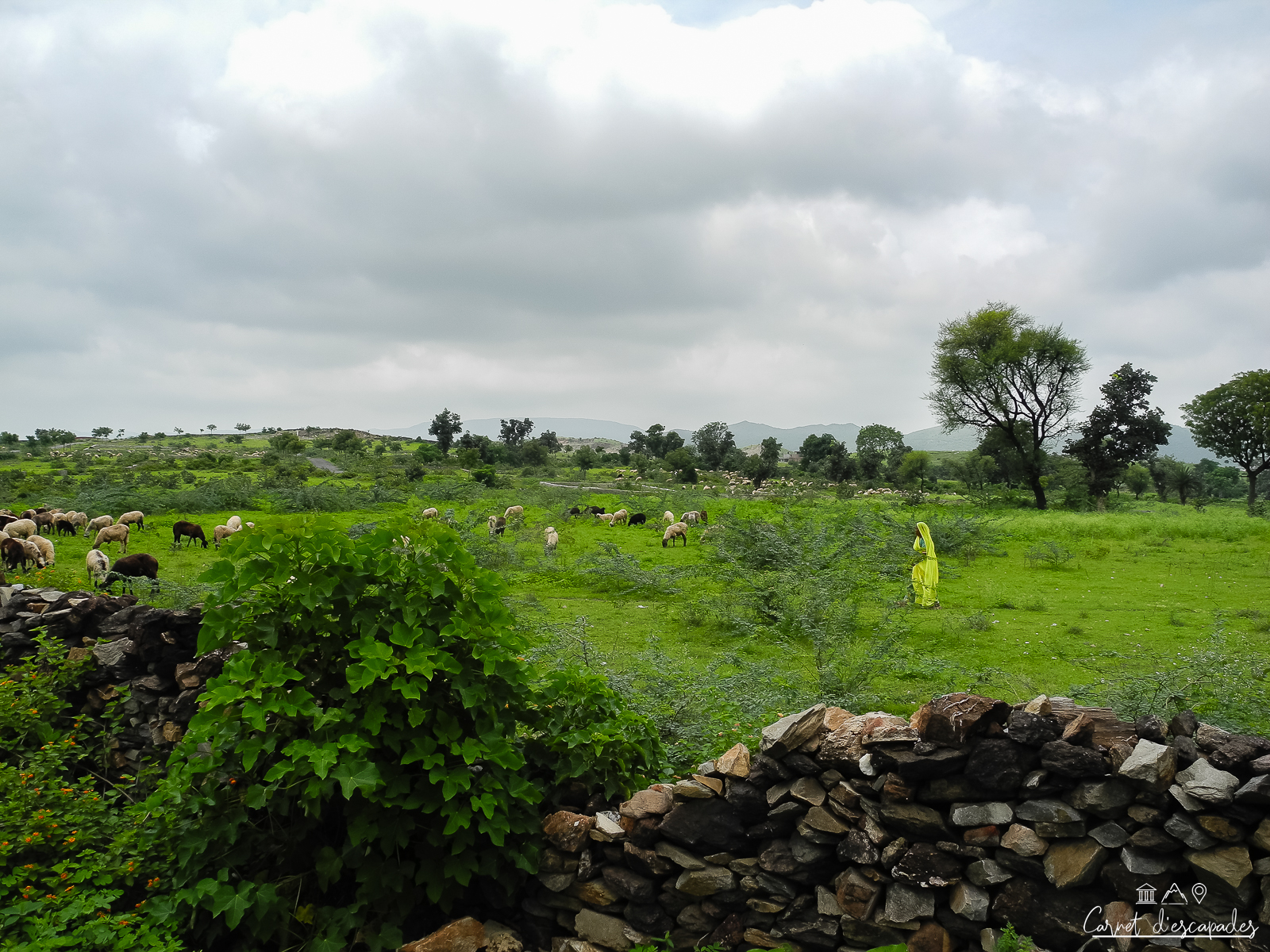balade-cheval-autour-udaipur