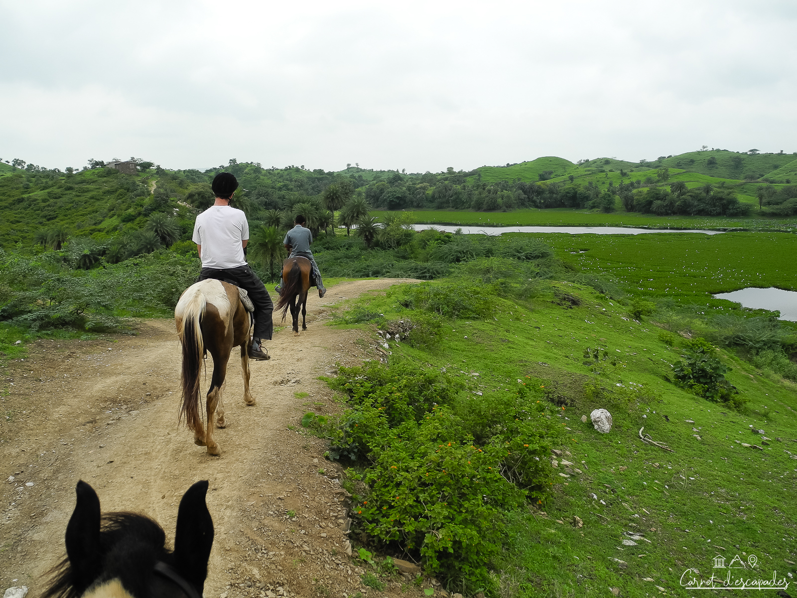 balade-cheval-udaipur