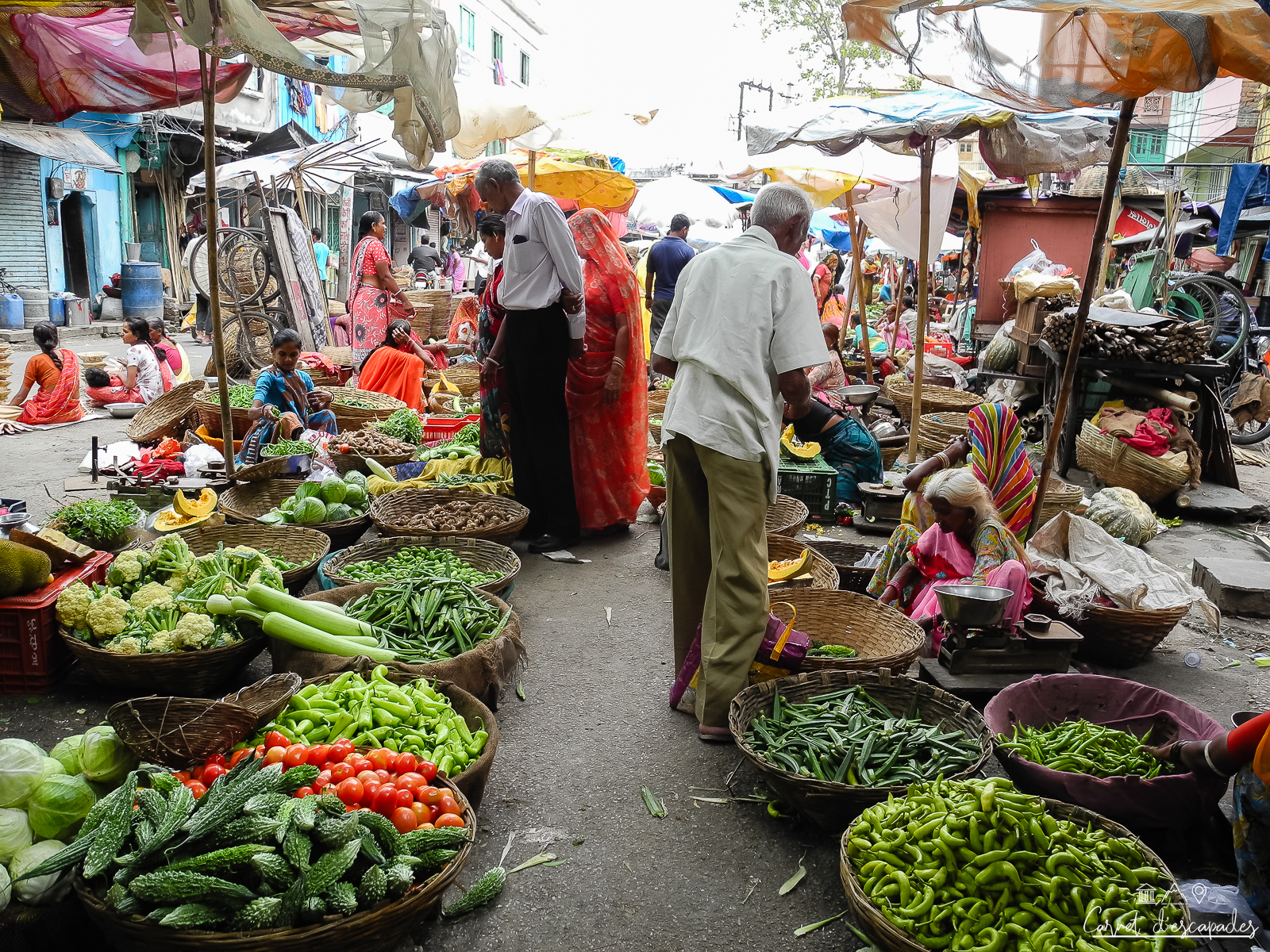 marche-udaipur-inde