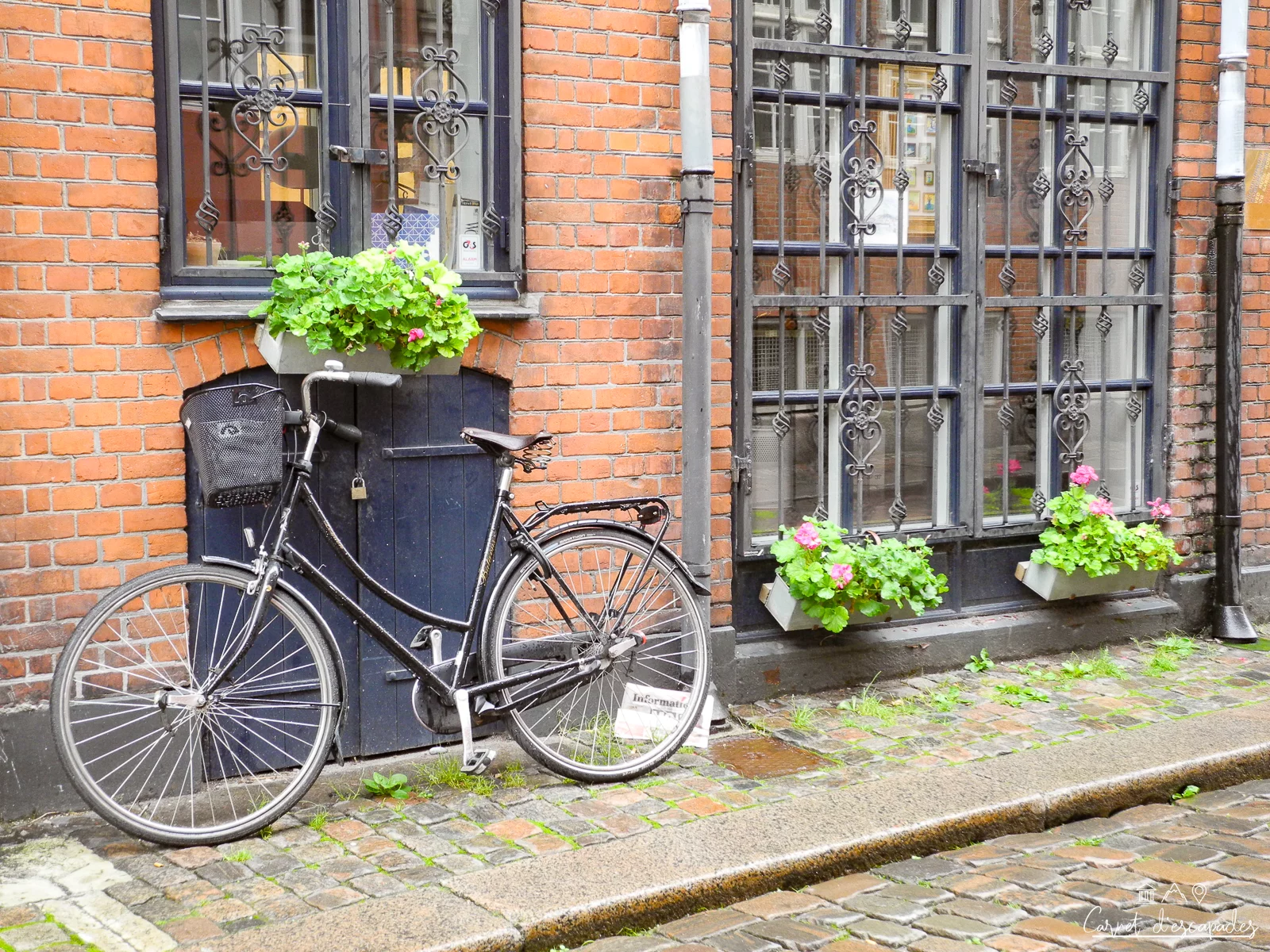 velo-copenhague