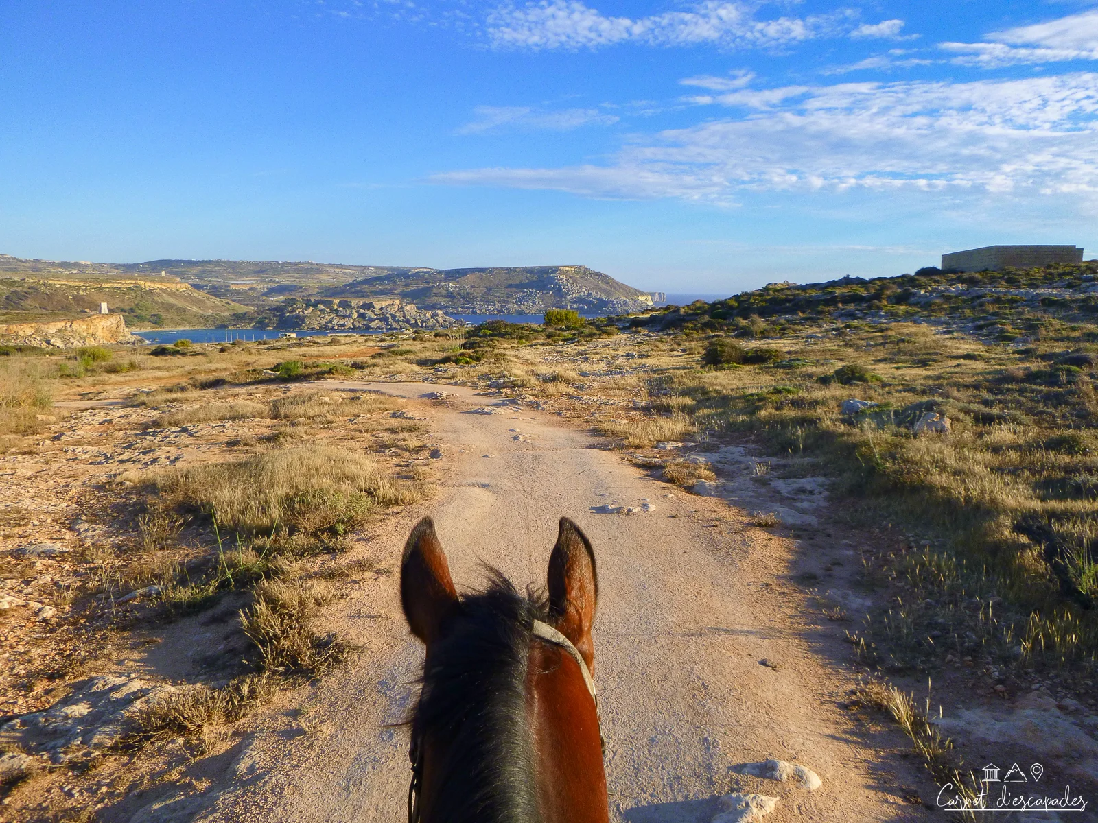 balade-cheval-malte