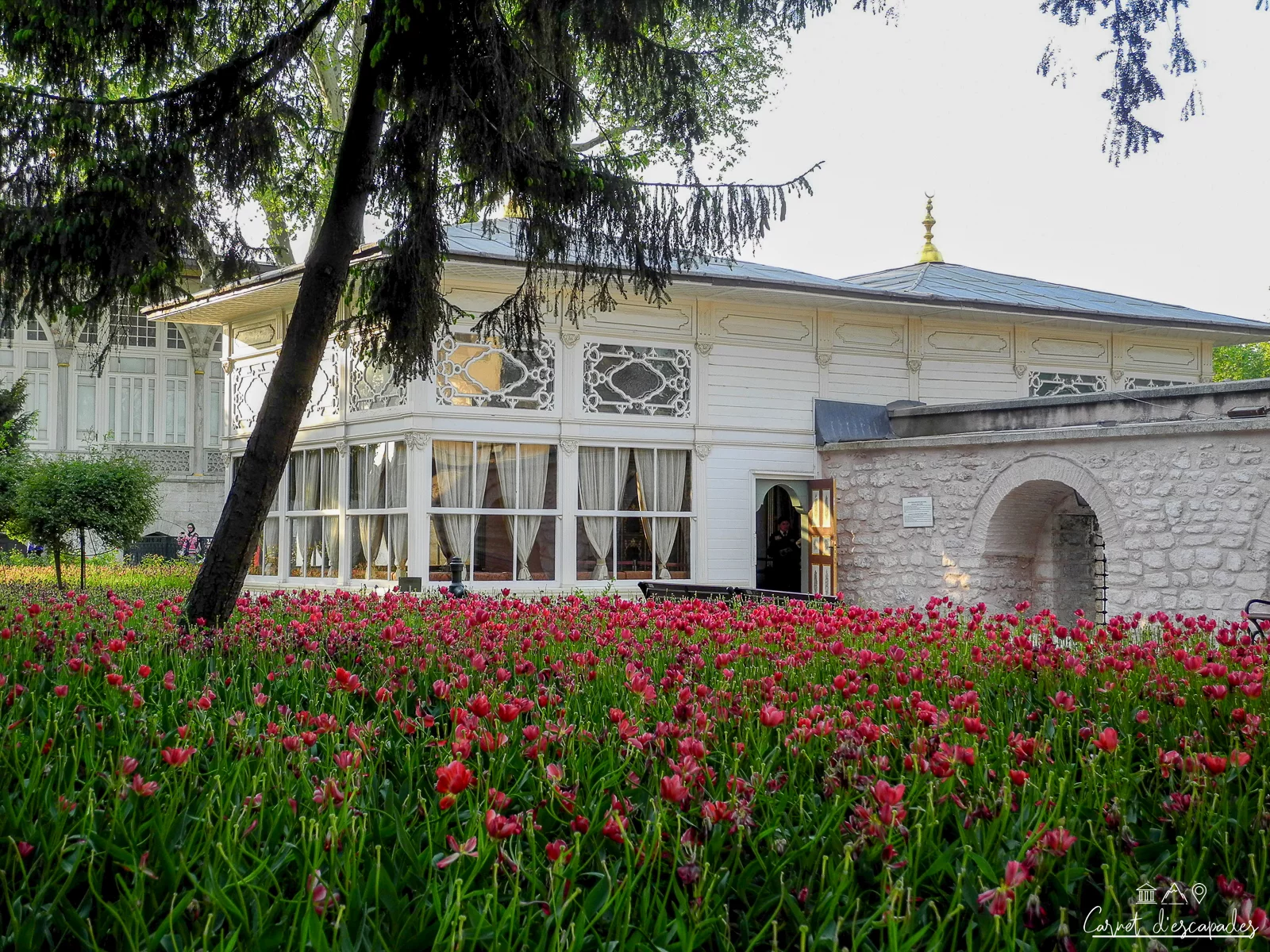 fleurs-palais-topkapi