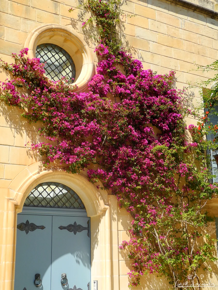 fleurs-porte-mdina