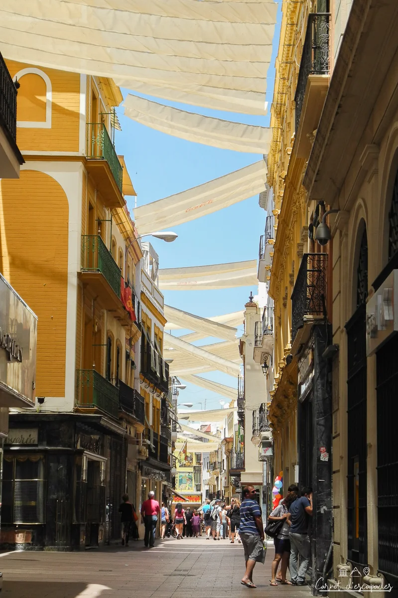 calle-sierpes-seville