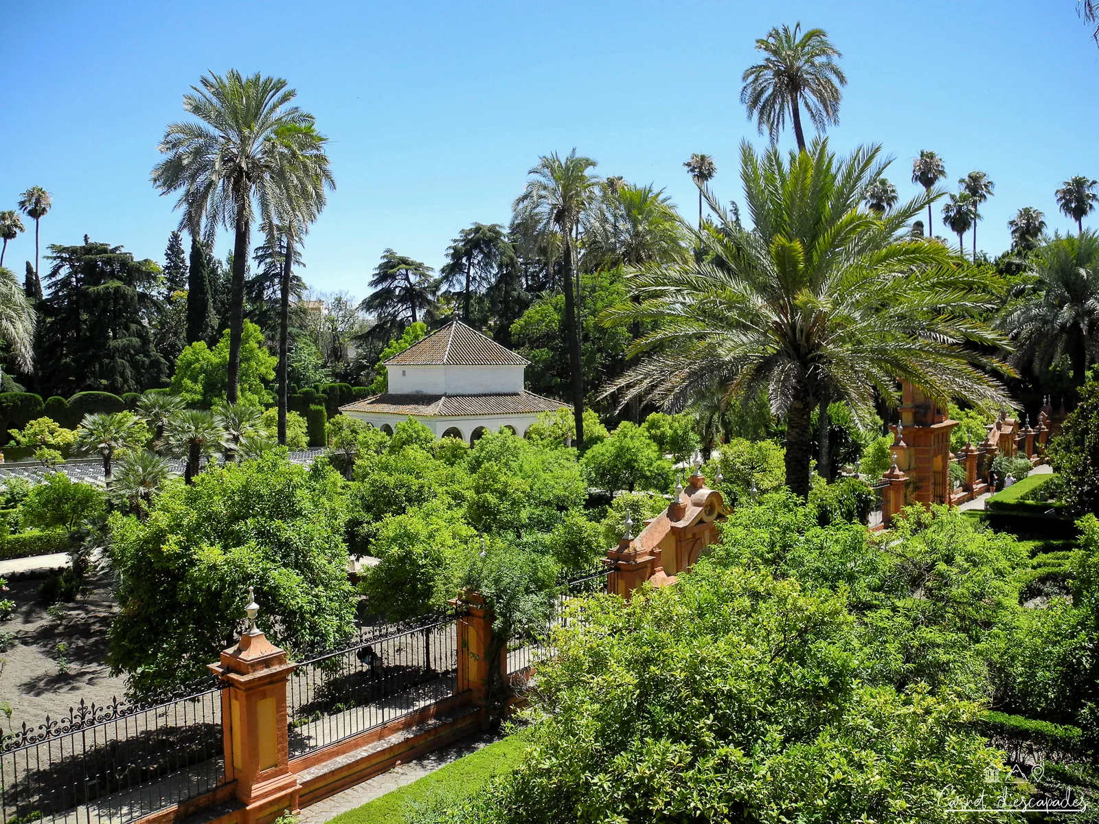real-alcazar-jardins