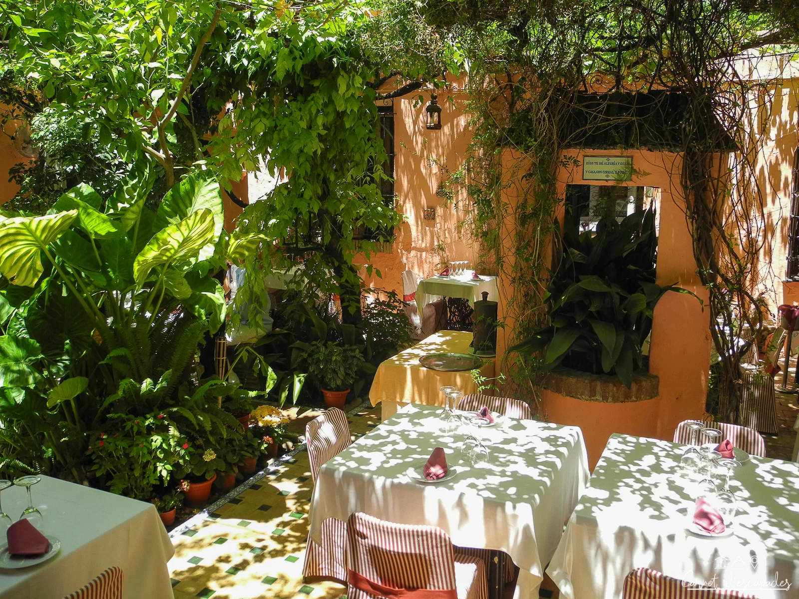 restaurant-corral-agua-seville