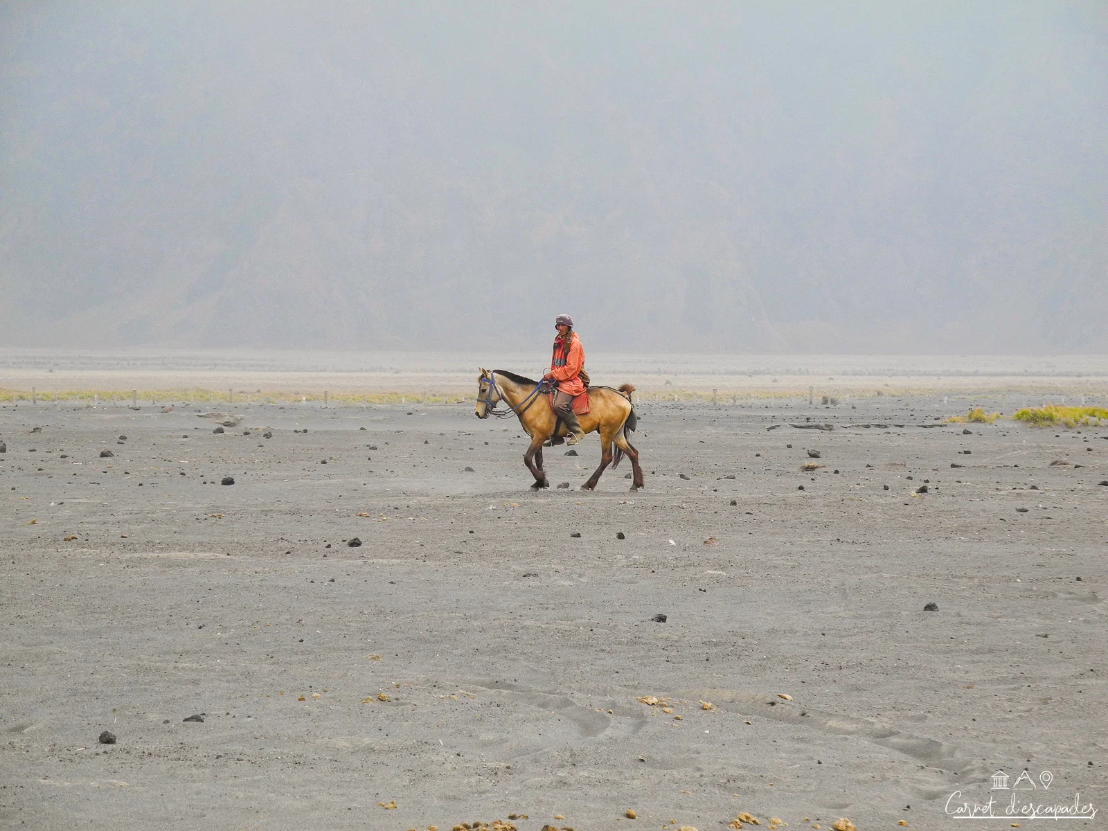 cavalier-bromo