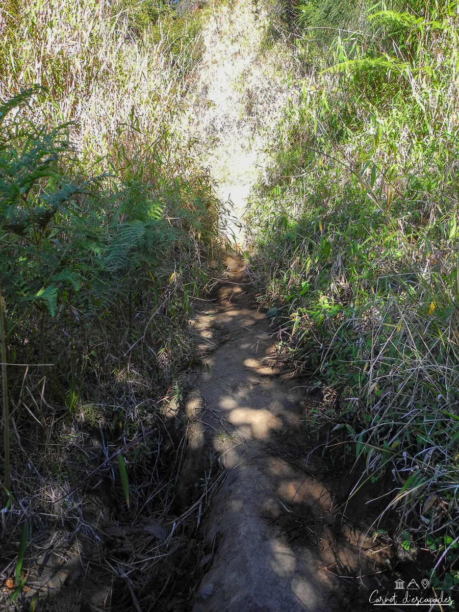 chemin-bromo-pied