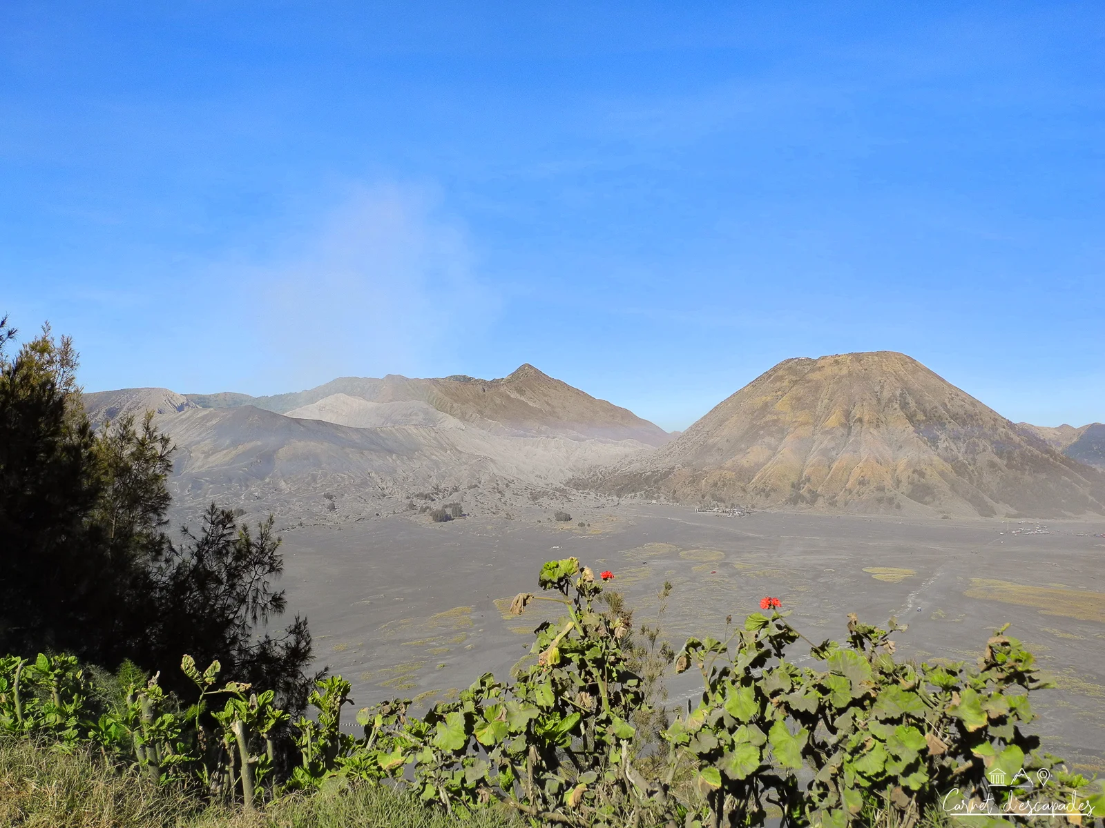 lava-view-lodge
