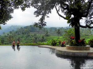 hotel-ijen-resorts