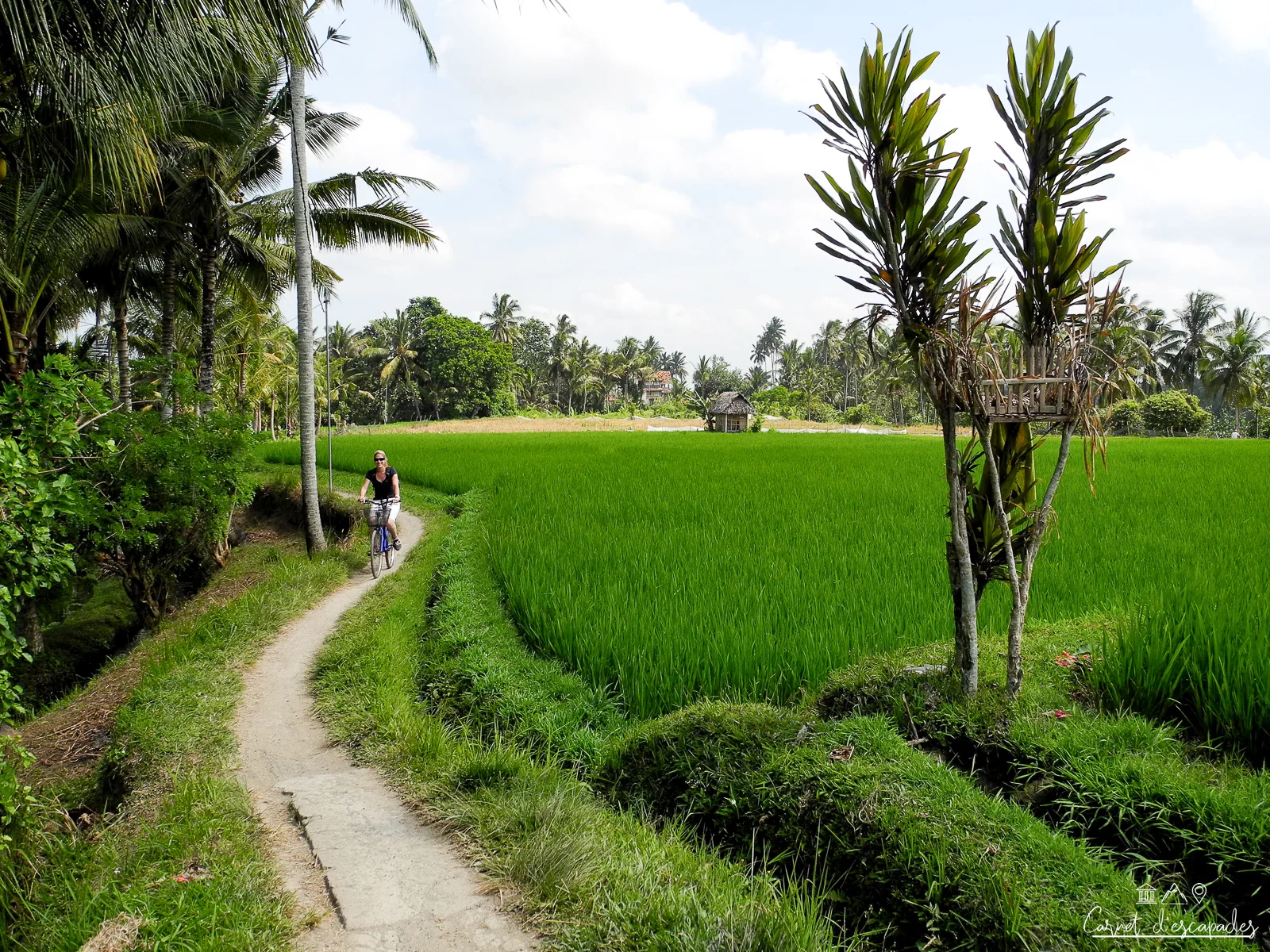 balade-velo-rizieres-ubud