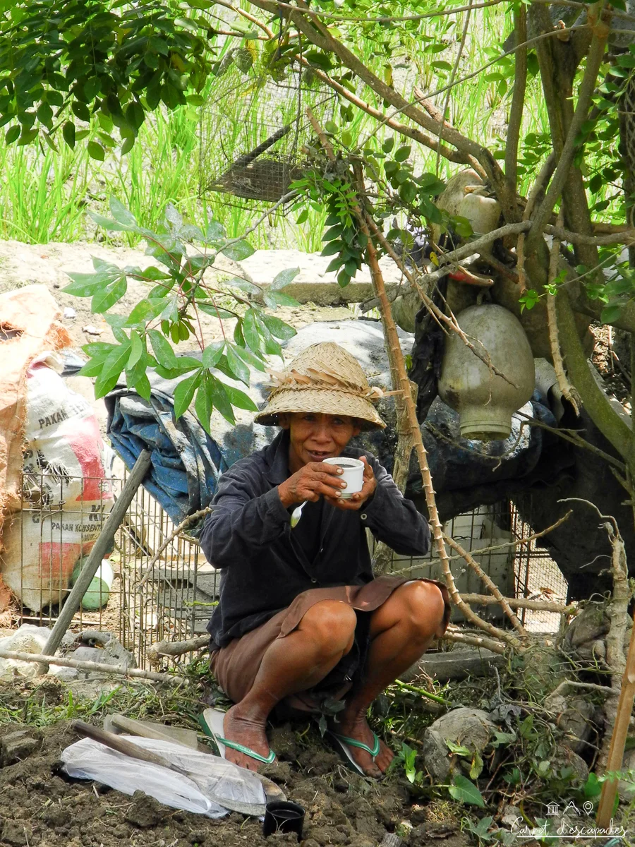 femme-riziere-ubud