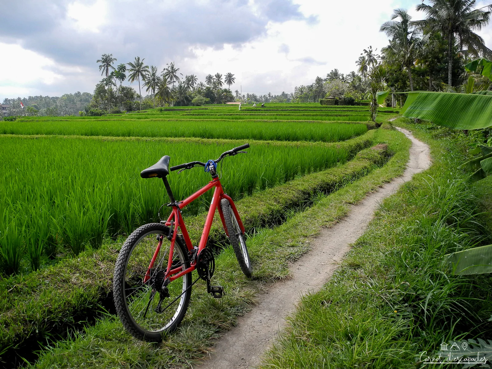 rizieres-ubud-velo