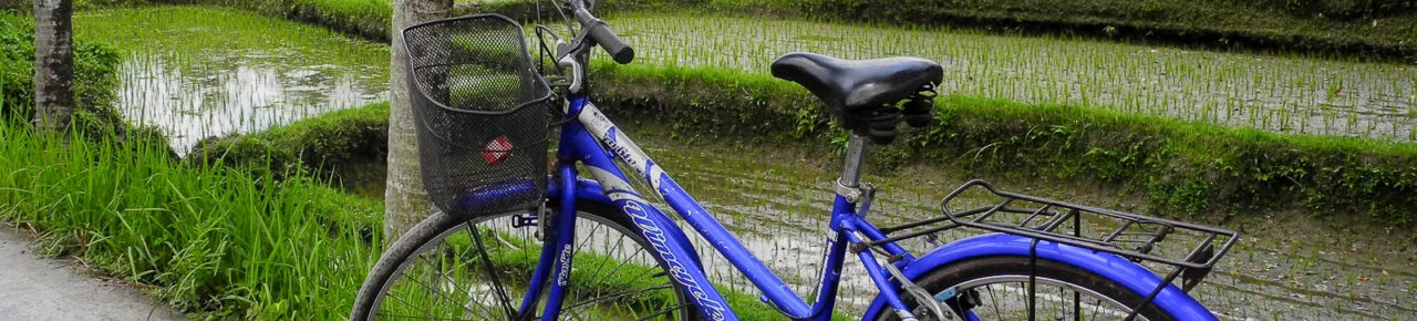velo-rizieres-ubud