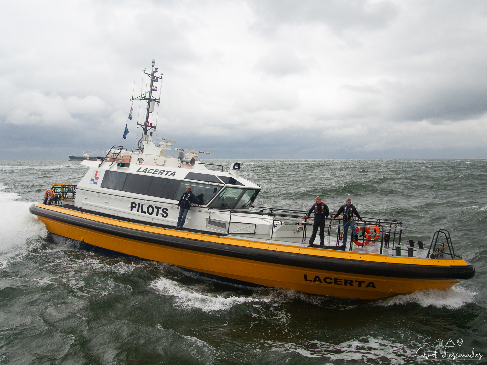 pilote-ijmuiden