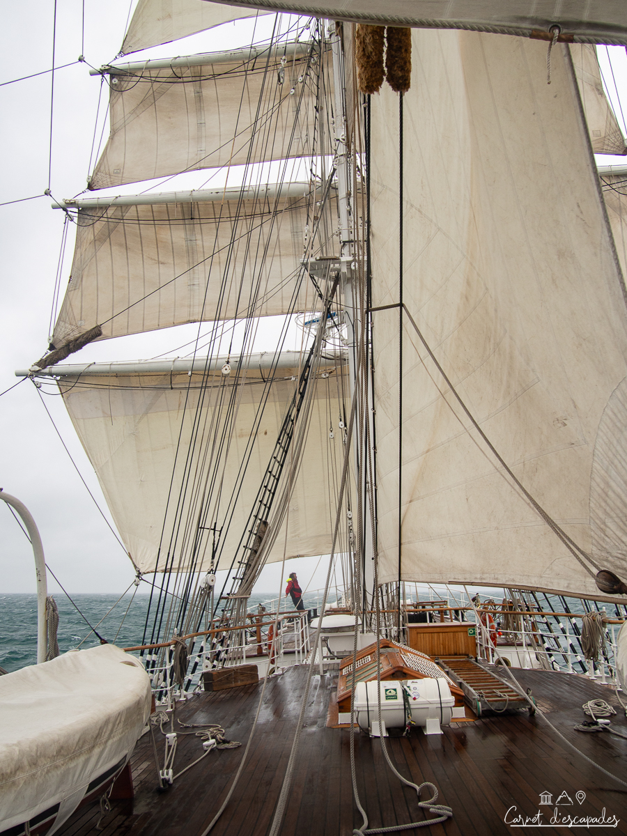 voiles-belem