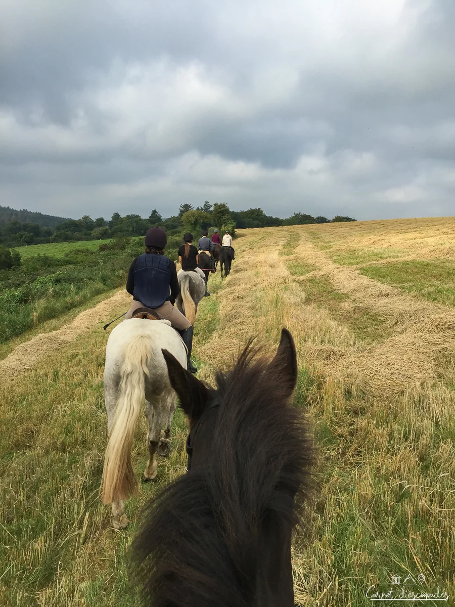 balade-cheval-wicklow