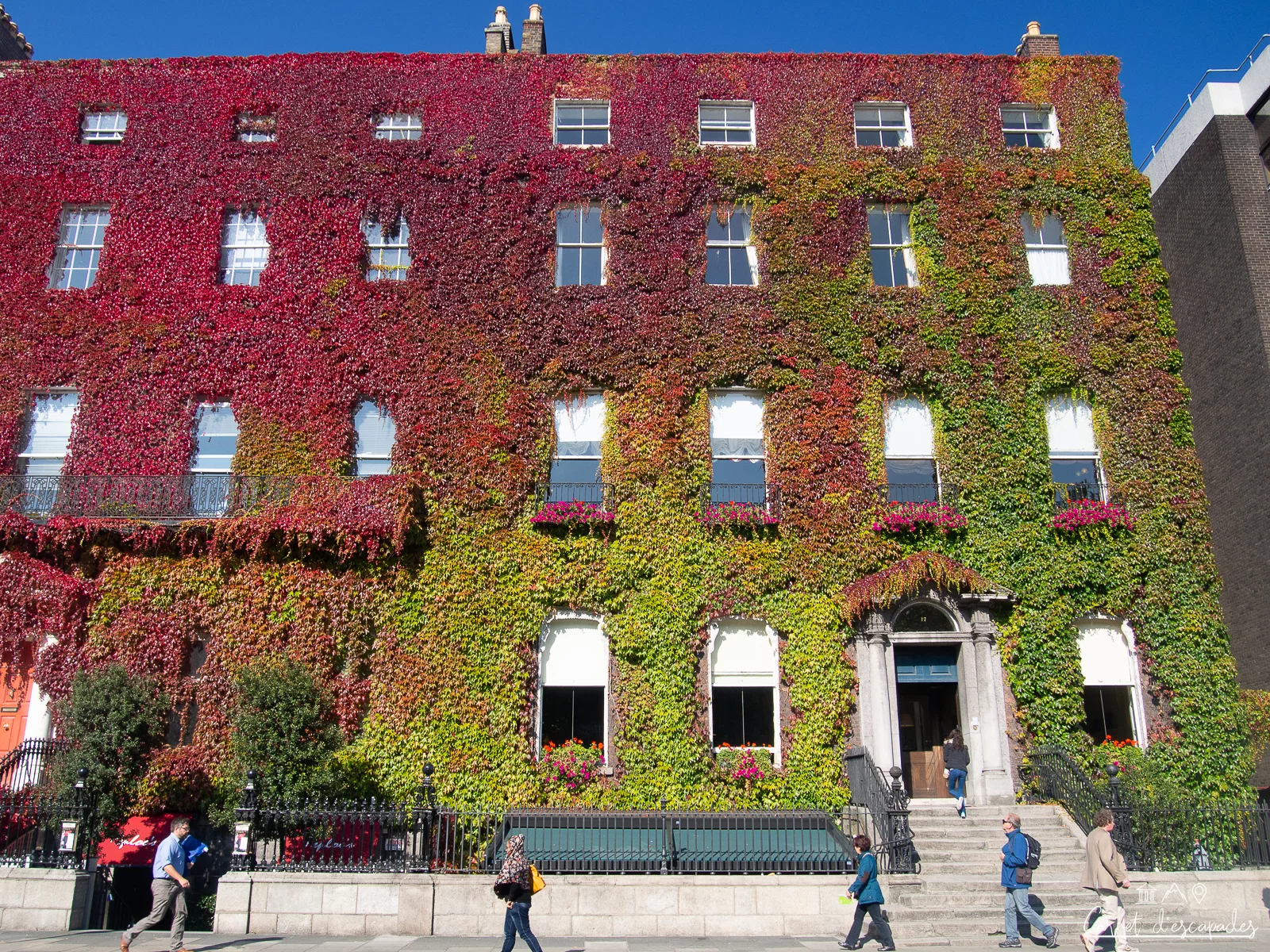dublin-immeuble-vegetal