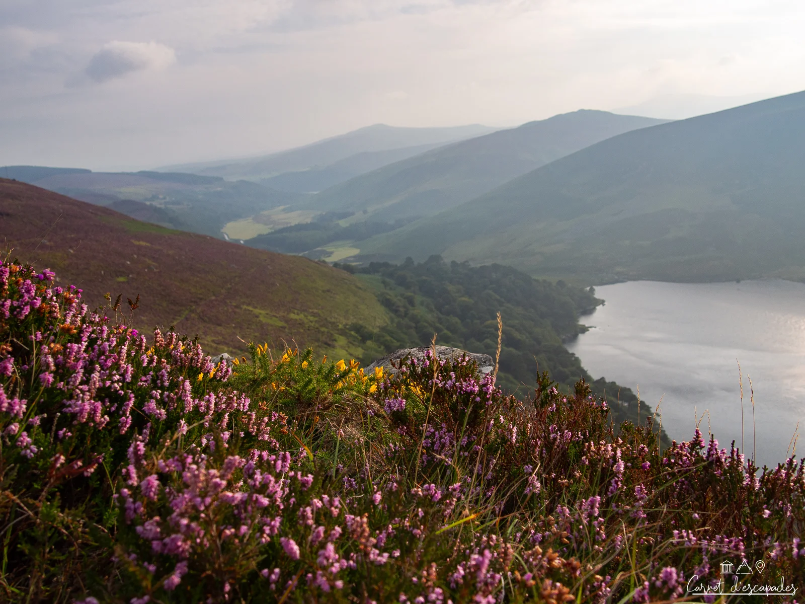 montagnes-wicklow