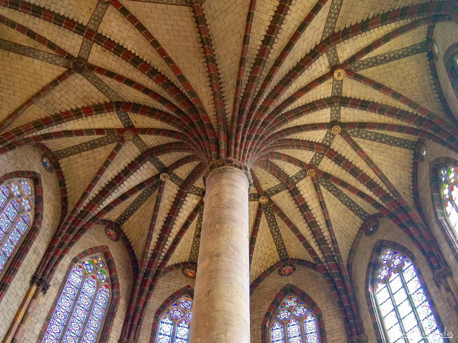 palmier-eglise-jacobins-toulouse