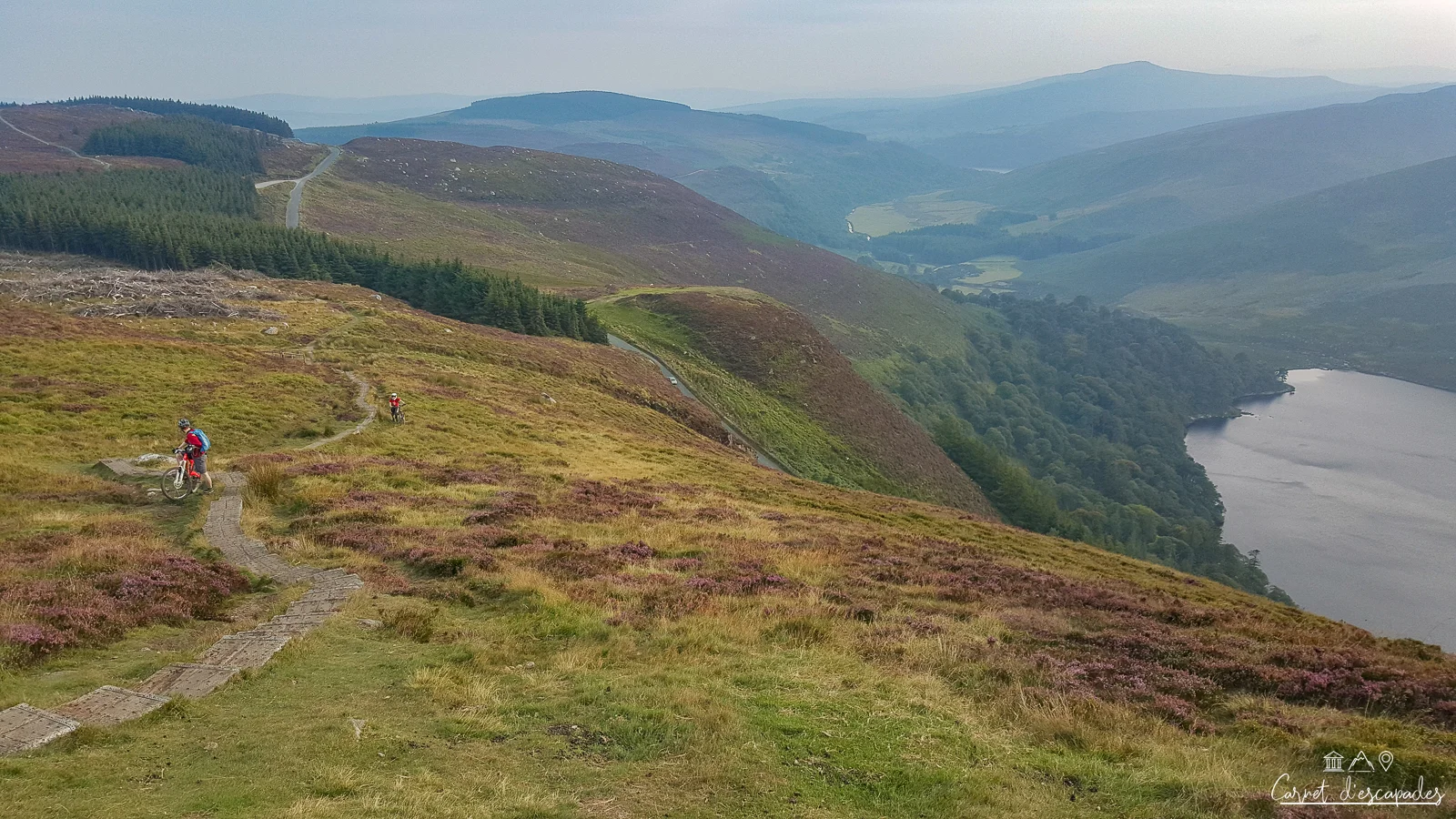 wicklow