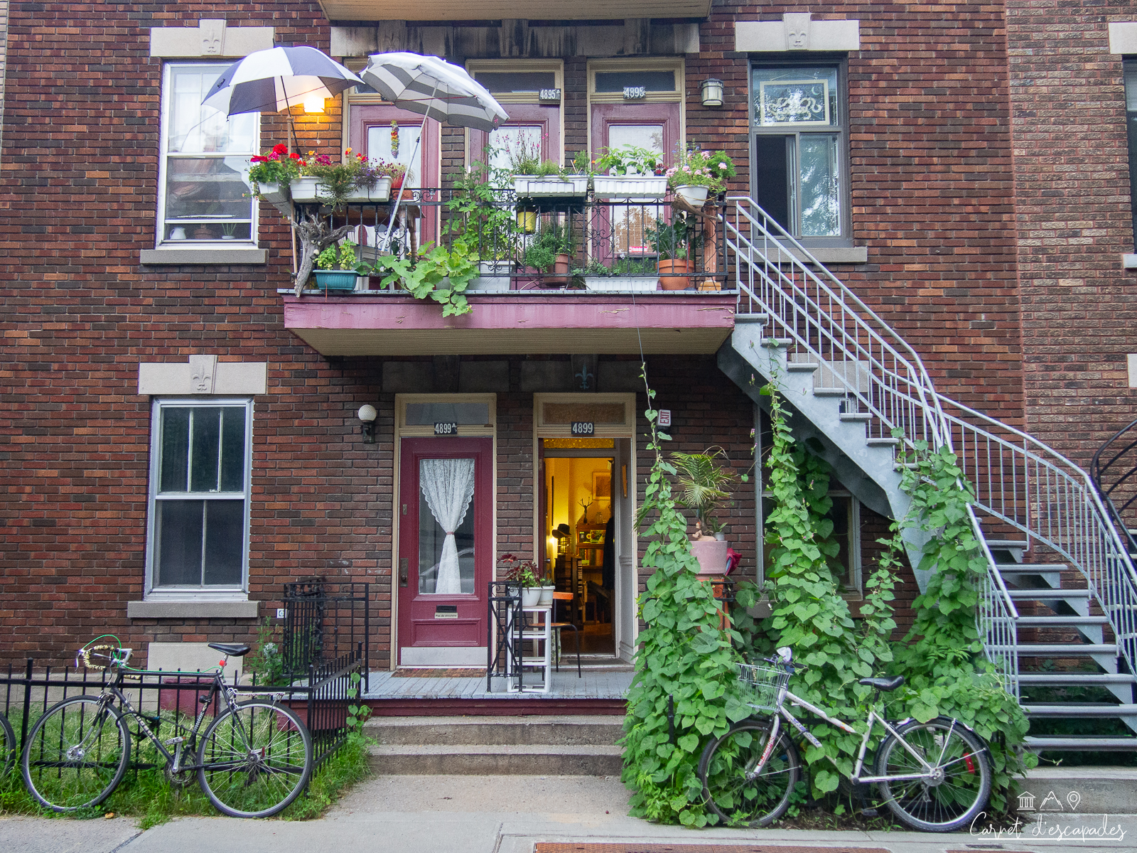 montreal-batiment-plateau