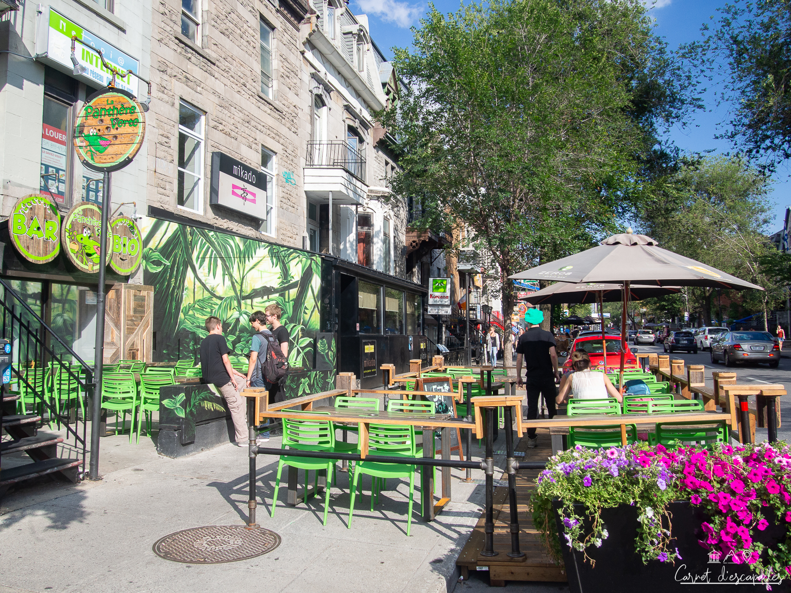 terrasses-plateau-montreal