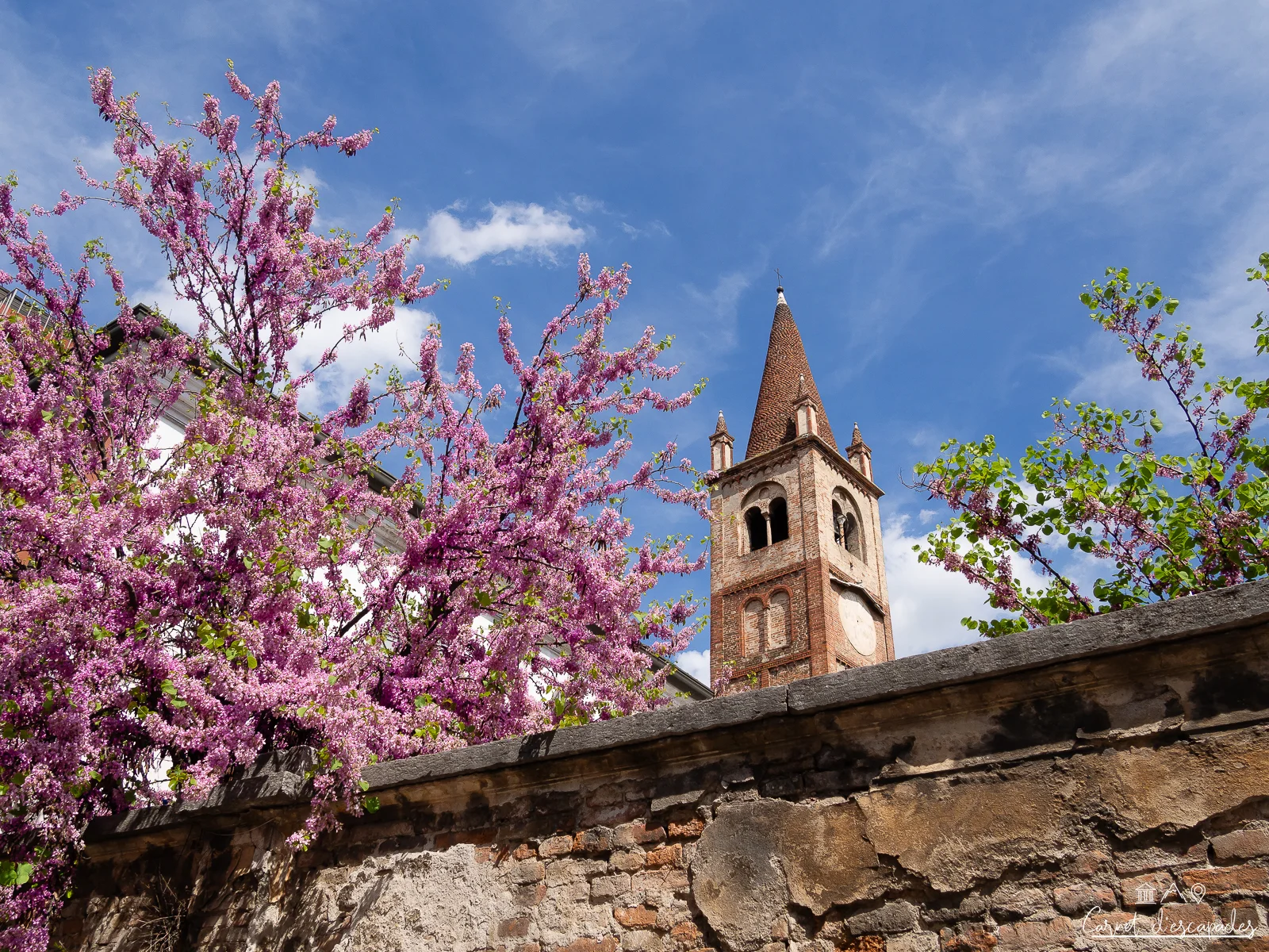 fleurs-mantoue