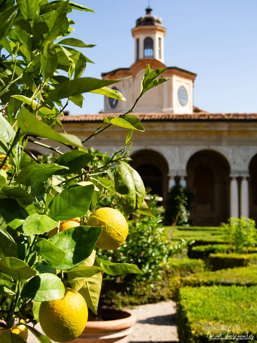 palais-ducal-jardin