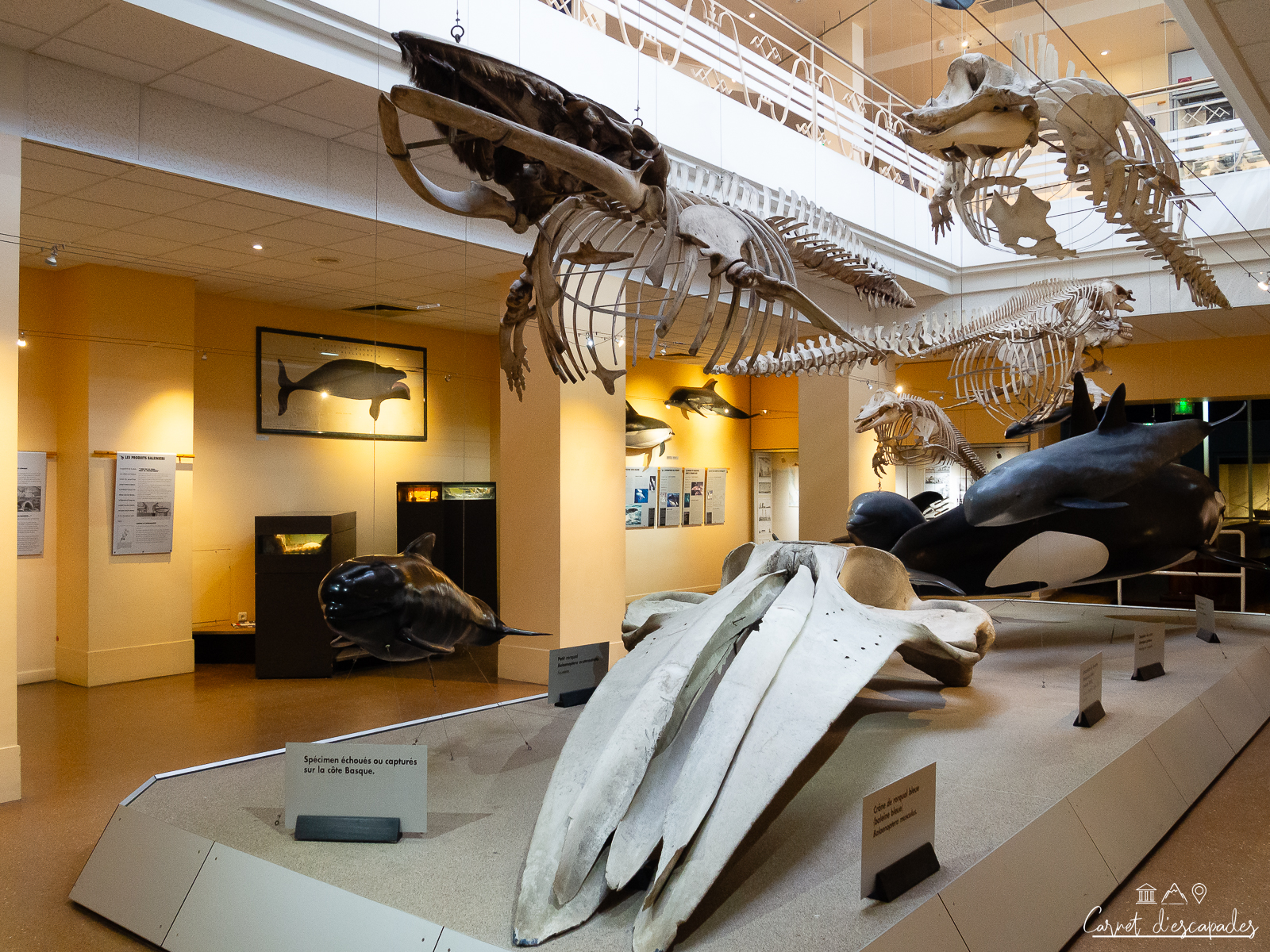 musee-mer-biarritz