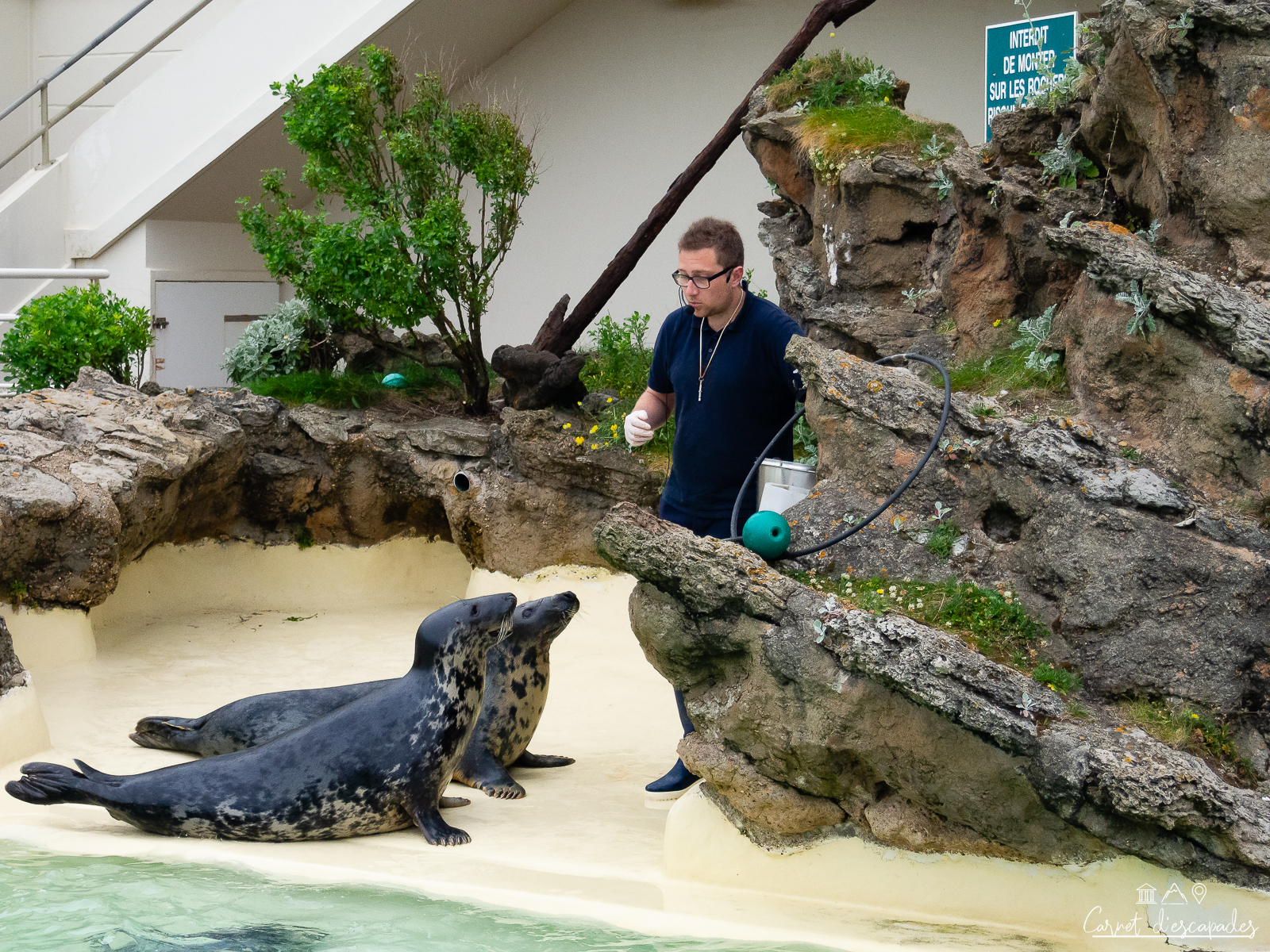 aquarium-biarritz-musee-mer