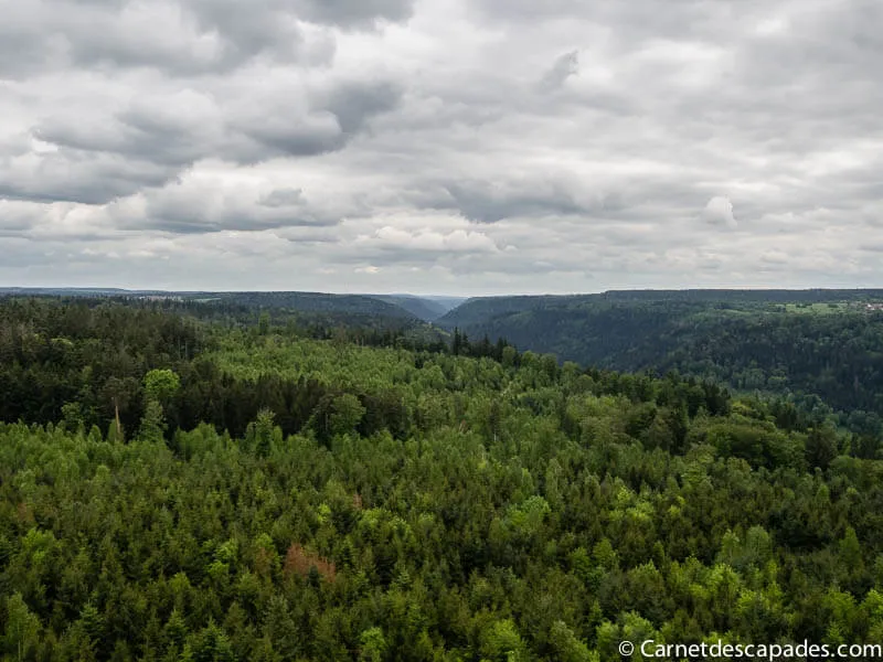 vue-foret-noire-hohe-warte-pforzheim
