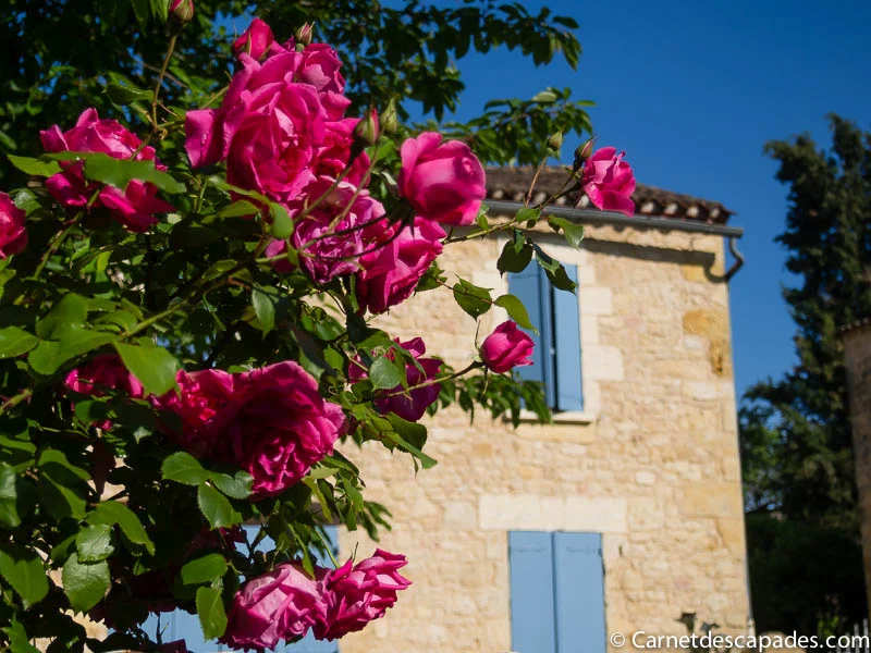 bastide-molieres