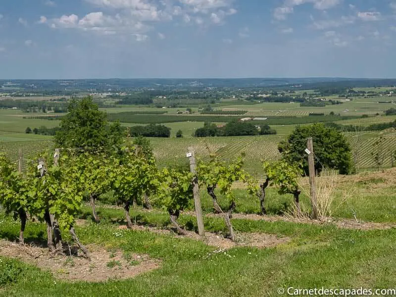 monbazillac