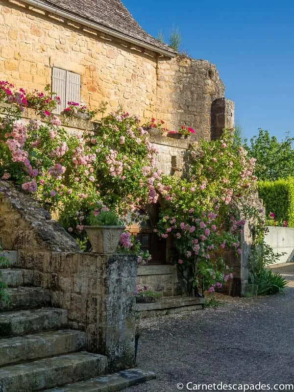 saint-avit-senieur