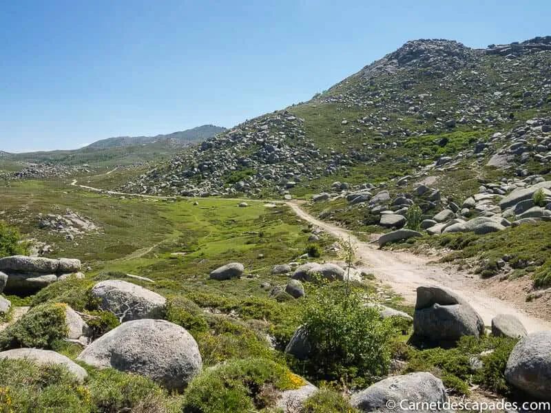 corse-plateau-coscione-promenade