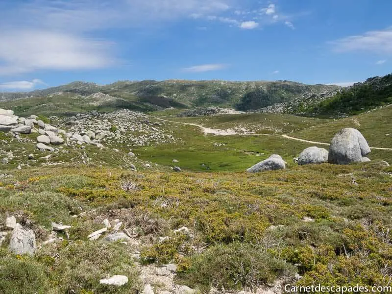 montagne-corse-plateau-coscione