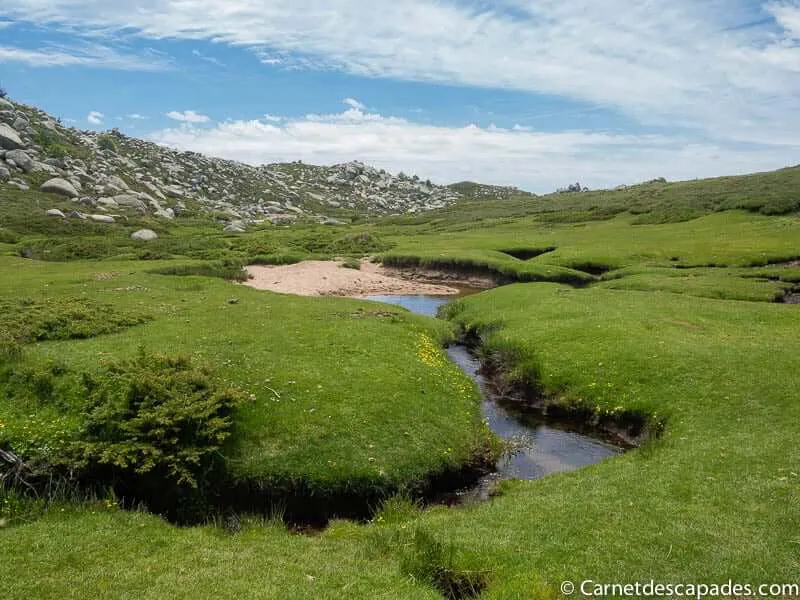 pozzines-plateau-coscione