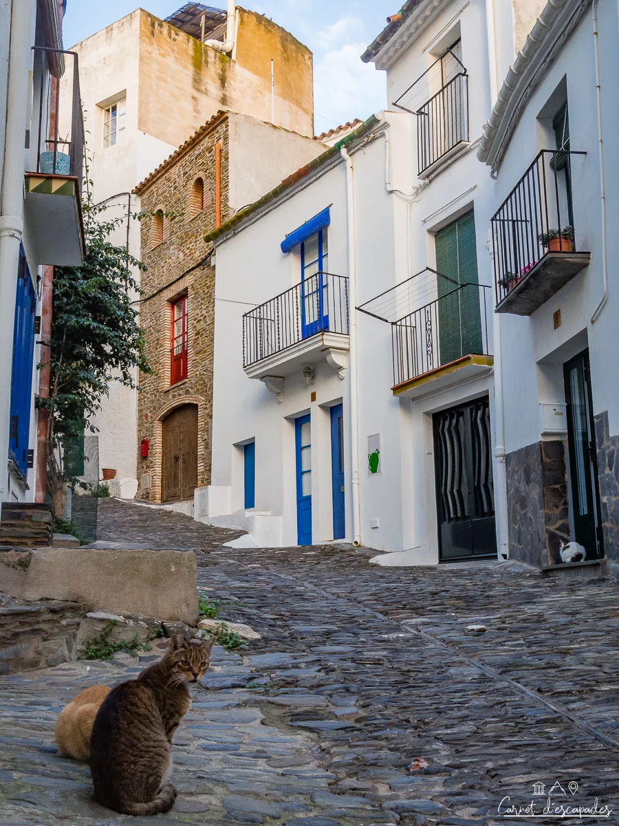 chat-rue-cadaques