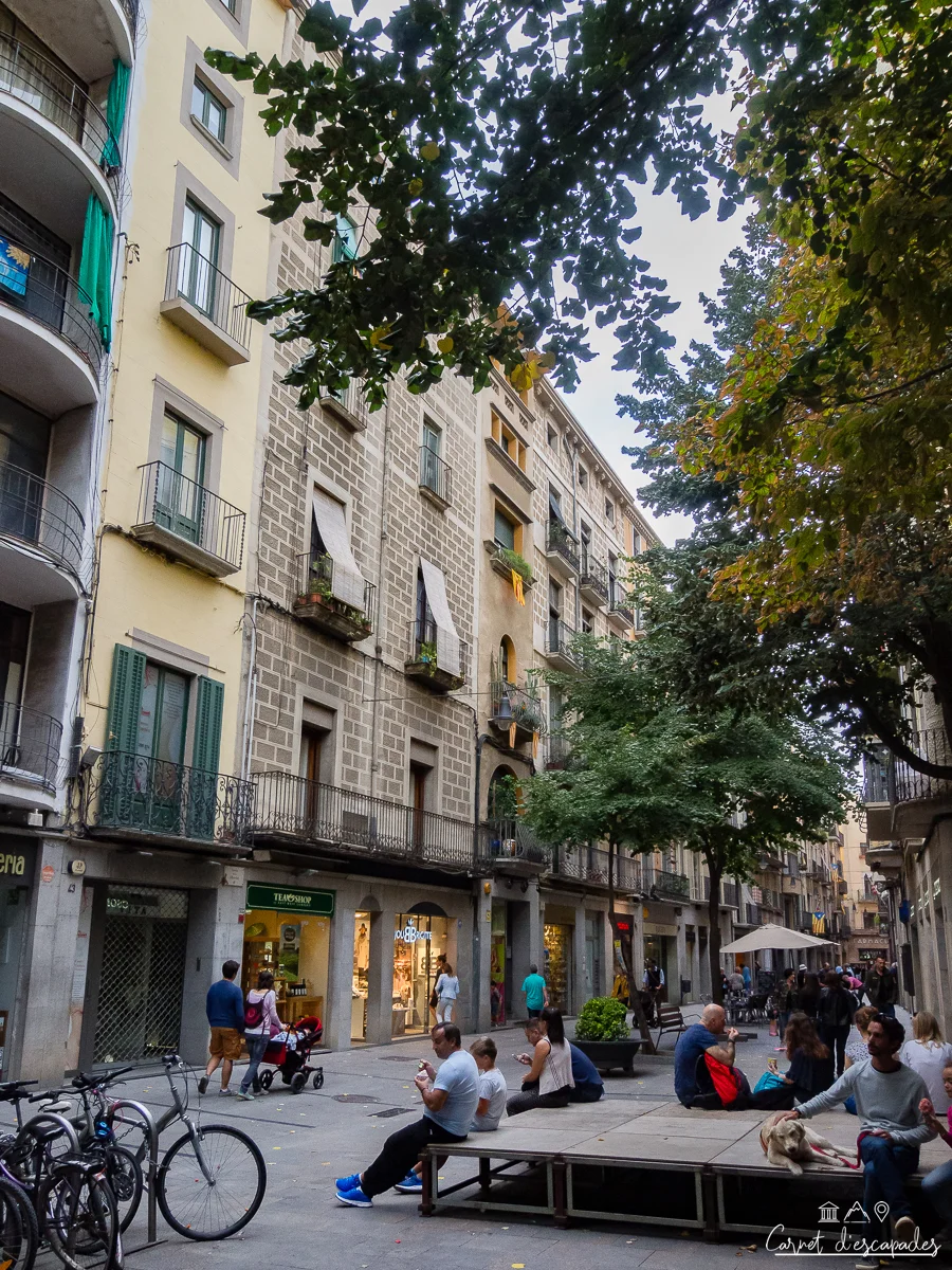 gerone-rue