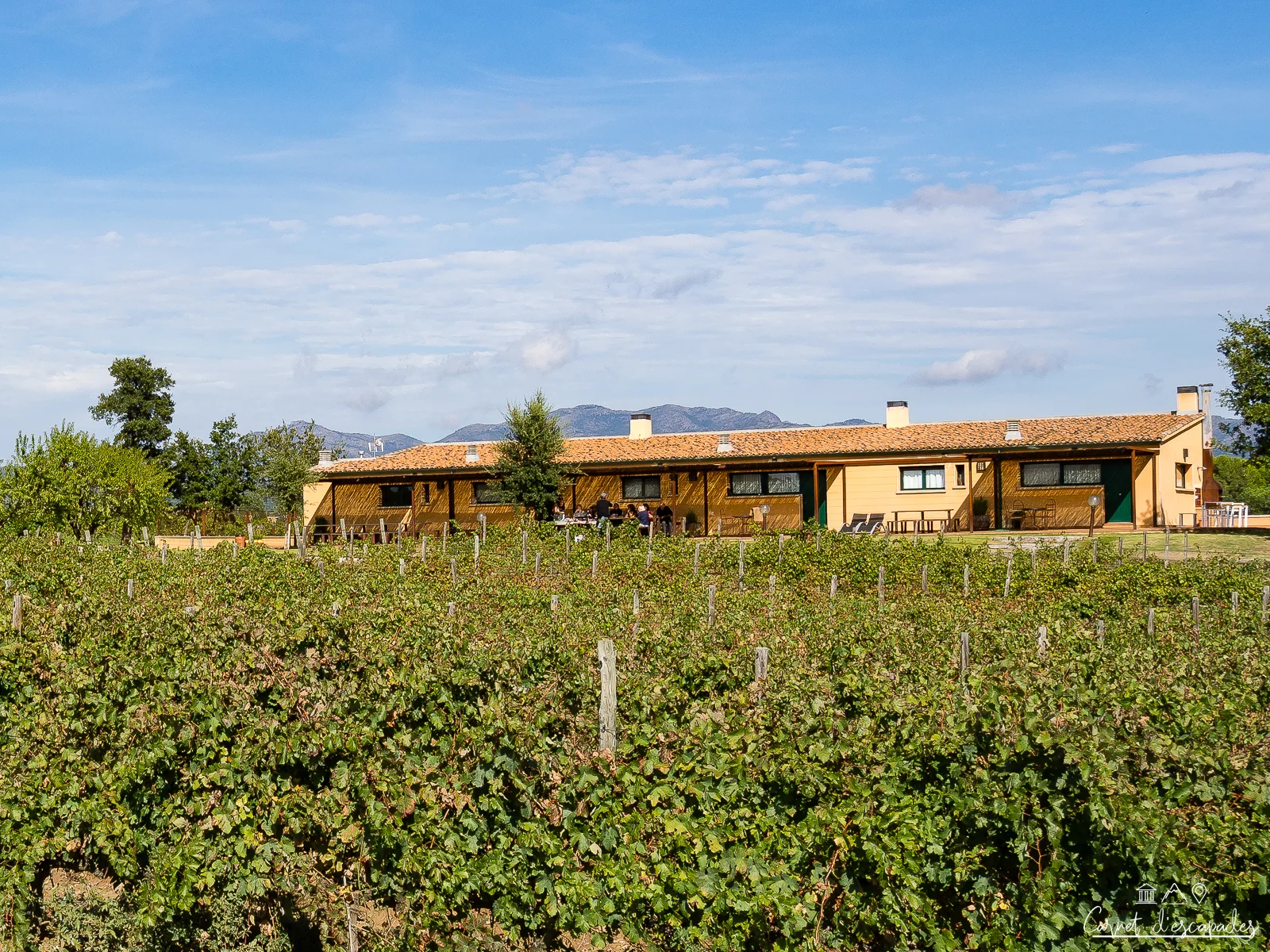 vinyeta-domaine-viticole-espagne