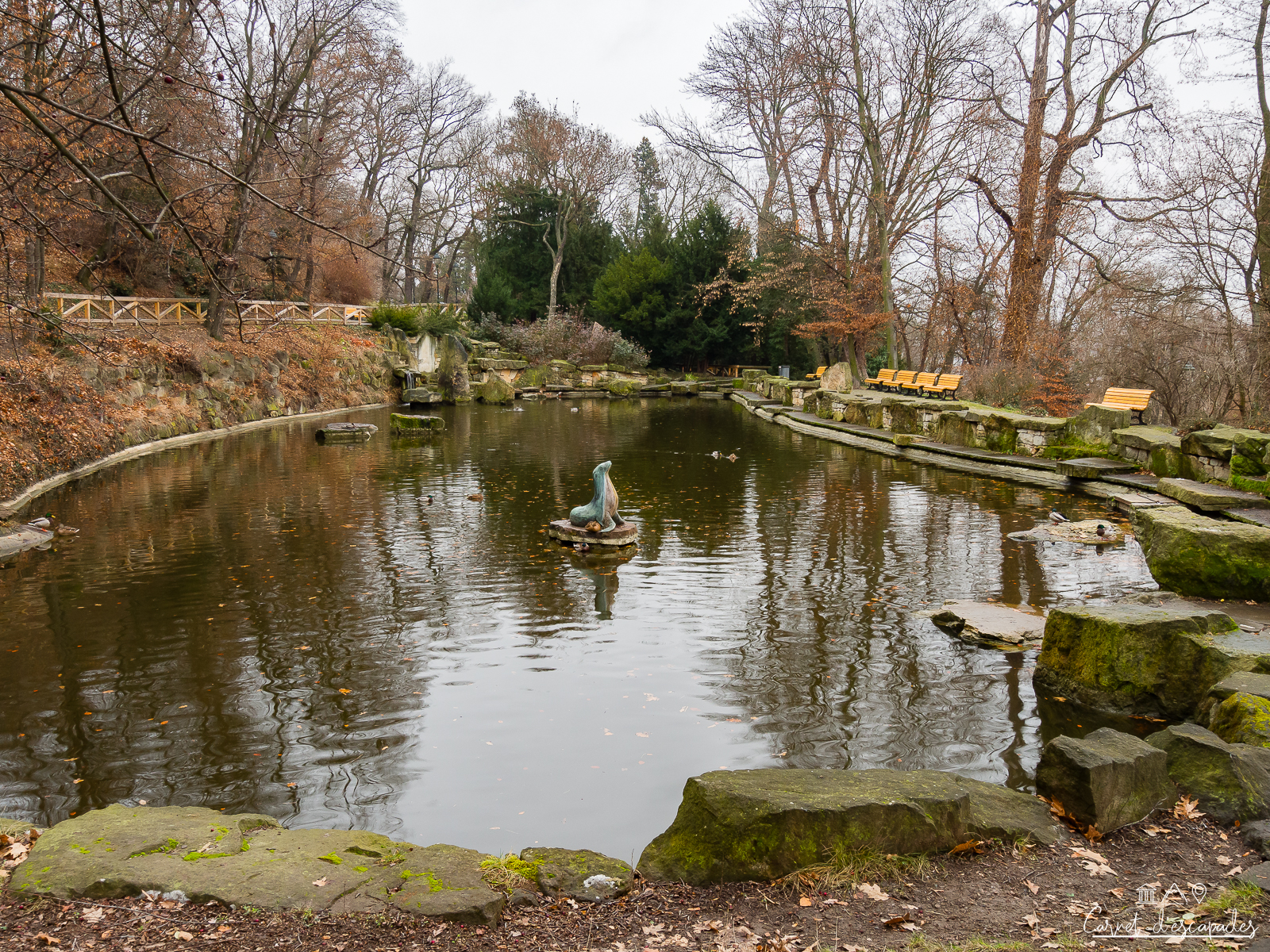etang-colline-petrin
