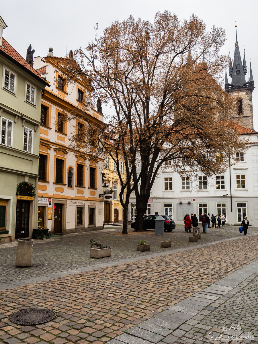 prague-cour-tyn
