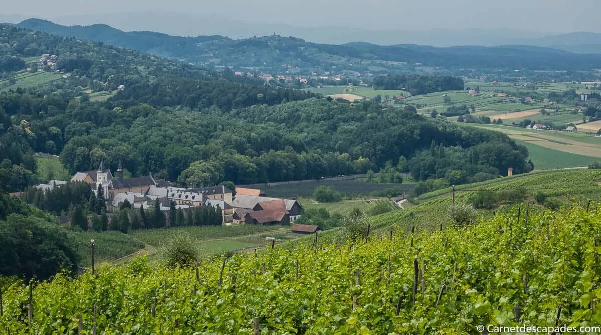 chartreuse-pleterje