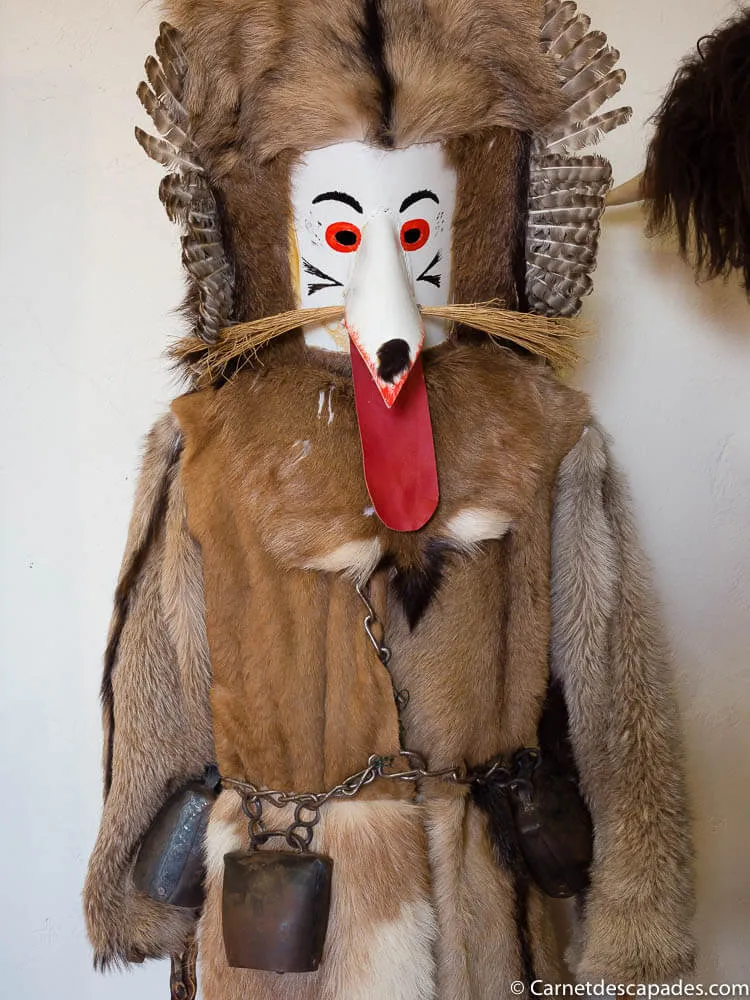 costume-carnaval-ptuj